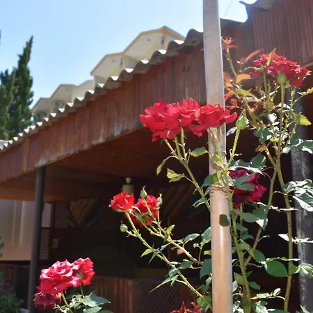 Terko Hostel & Pansiyon *